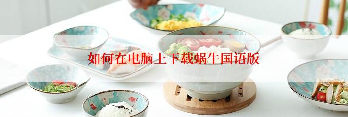 如何在电脑上下载蜗牛国语版