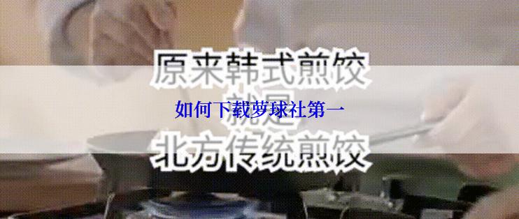 如何下载萝球社第一