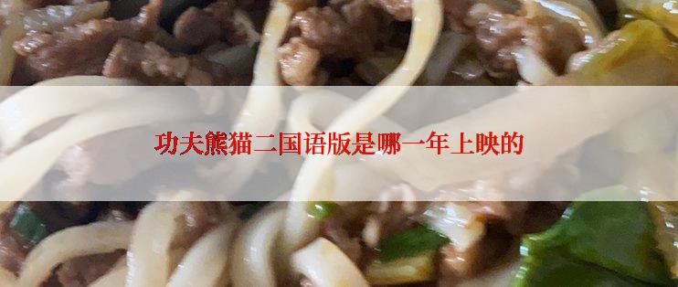 功夫熊猫二国语版是哪一年上映的