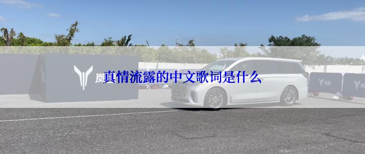 真情流露的中文歌词是什么