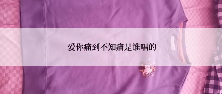 爱你痛到不知痛是谁唱的