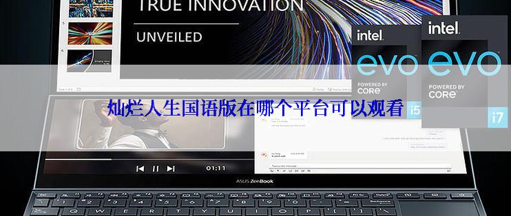 灿烂人生国语版在哪个平台可以观看