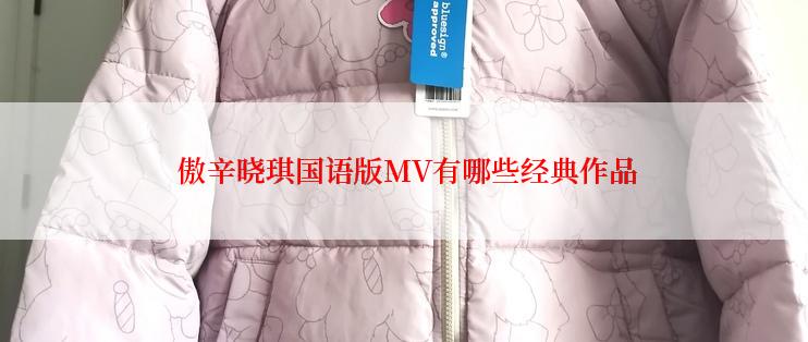 傲辛晓琪国语版MV有哪些经典作品