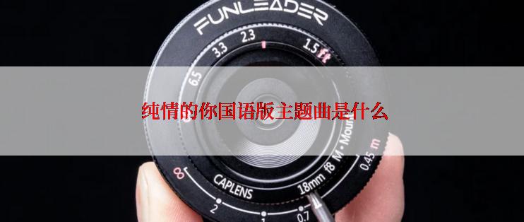  纯情的你国语版主题曲是什么