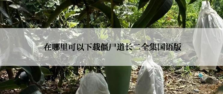  在哪里可以下载僵尸道长二全集国语版