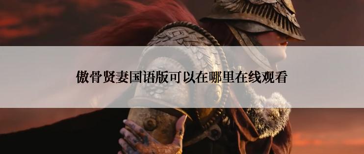 傲骨贤妻国语版可以在哪里在线观看