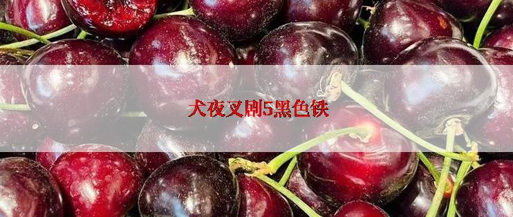  犬夜叉剧5黑色铁