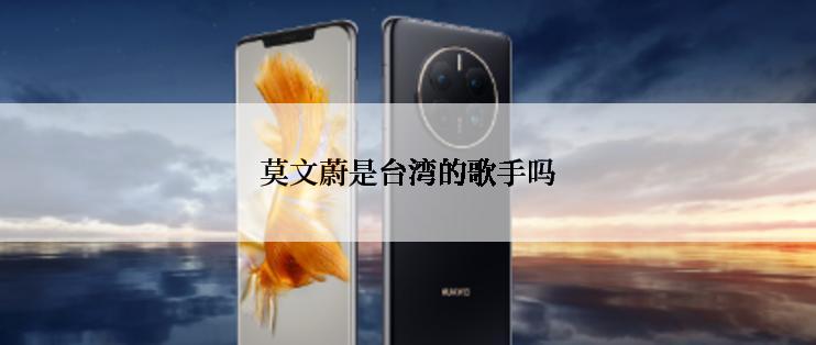 莫文蔚是台湾的歌手吗