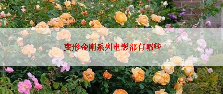  变形金刚系列电影都有哪些