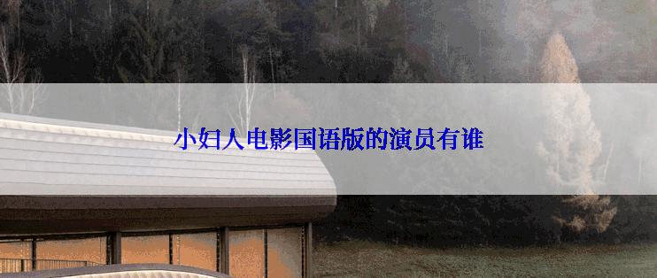 小妇人电影国语版的演员有谁