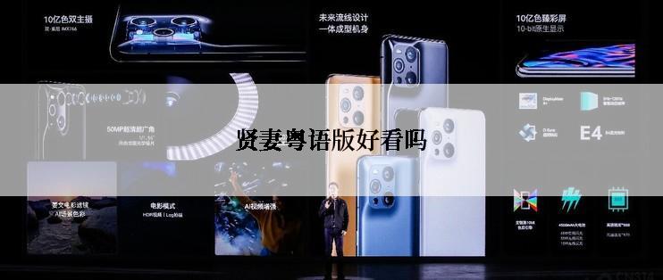 贤妻粤语版好看吗