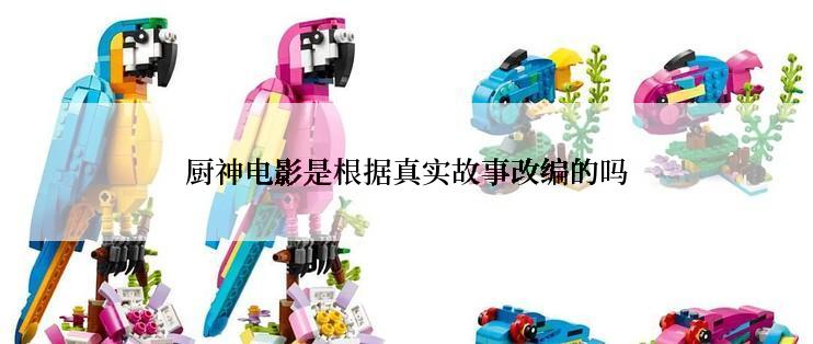 厨神电影是根据真实故事改编的吗
