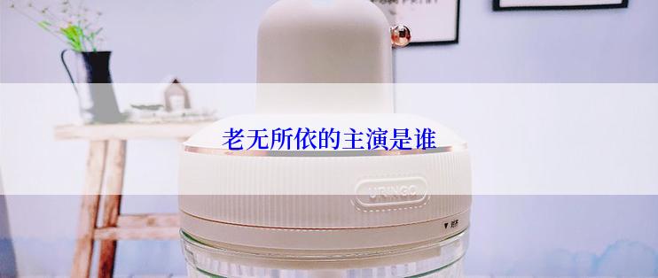 老无所依的主演是谁