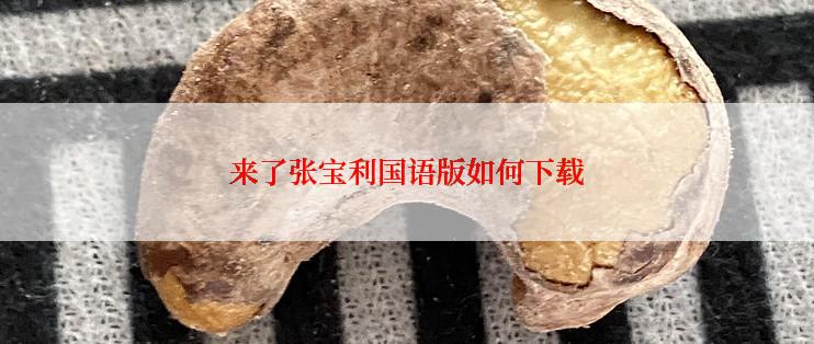 来了张宝利国语版如何下载