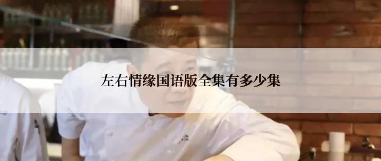 左右情缘国语版全集有多少集