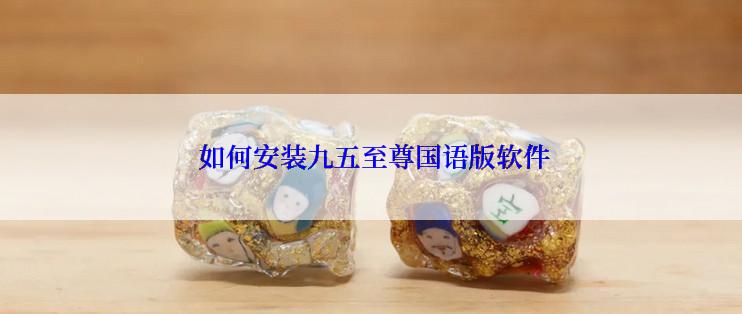 如何安装九五至尊国语版软件
