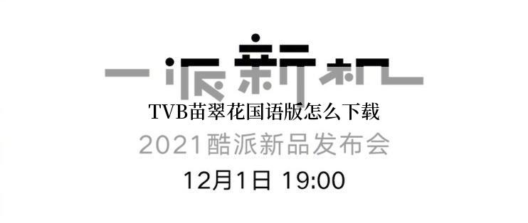 TVB苗翠花国语版怎么下载