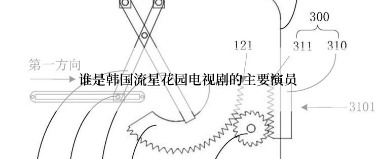 谁是韩国流星花园电视剧的主要演员