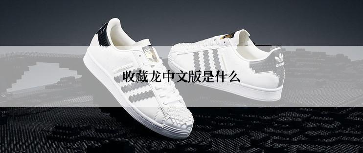 收藏龙中文版是什么