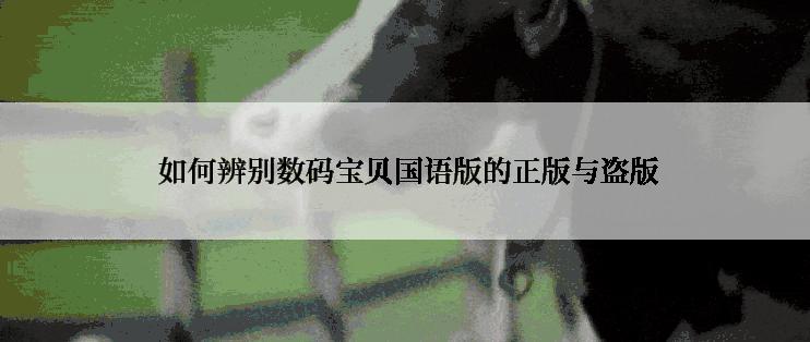如何辨别数码宝贝国语版的正版与盗版