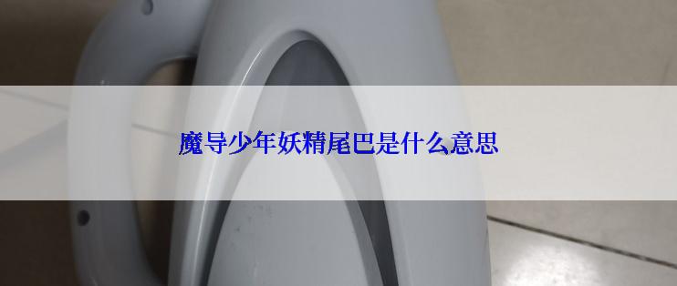 魔导少年妖精尾巴是什么意思