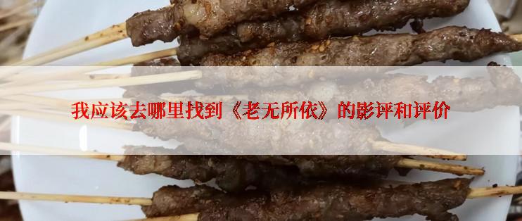 我应该去哪里找到《老无所依》的影评和评价