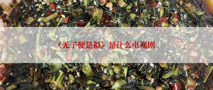 《无子便是福》是什么电视剧