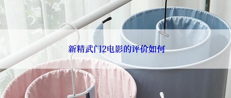  新精武门2电影的评价如何
