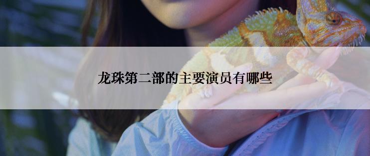 龙珠第二部的主要演员有哪些