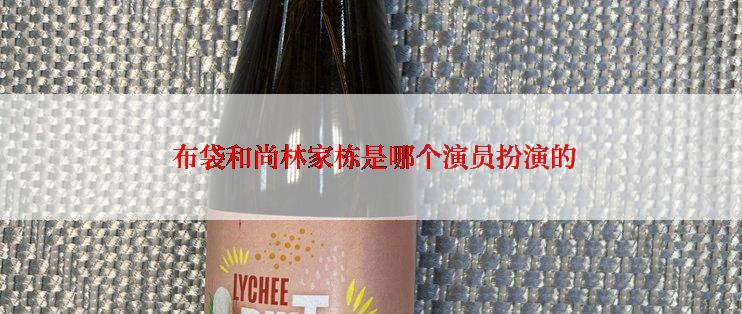  布袋和尚林家栋是哪个演员扮演的