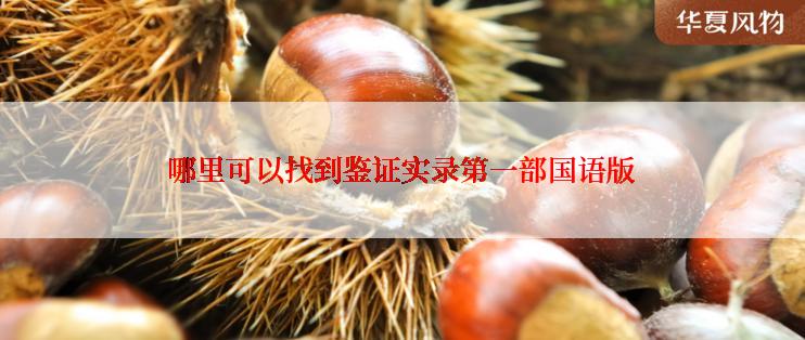 哪里可以找到鉴证实录第一部国语版