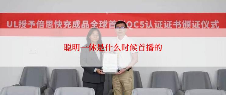 聪明一休是什么时候首播的