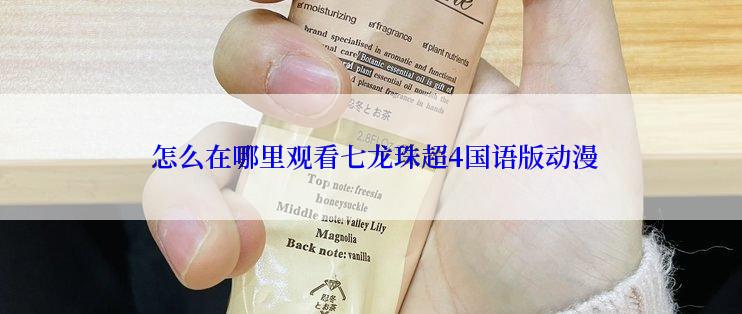  怎么在哪里观看七龙珠超4国语版动漫