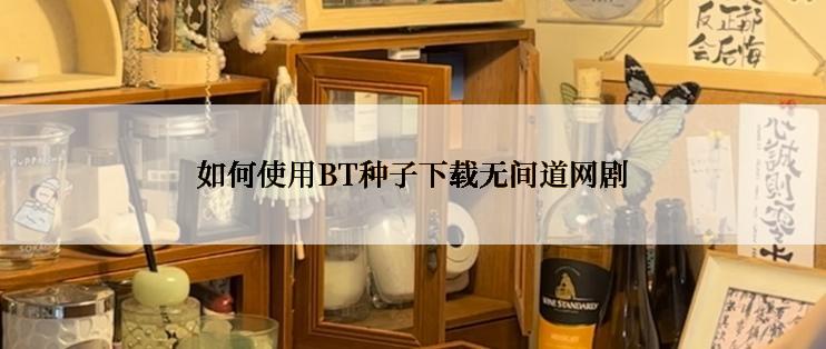 如何使用BT种子下载无间道网剧