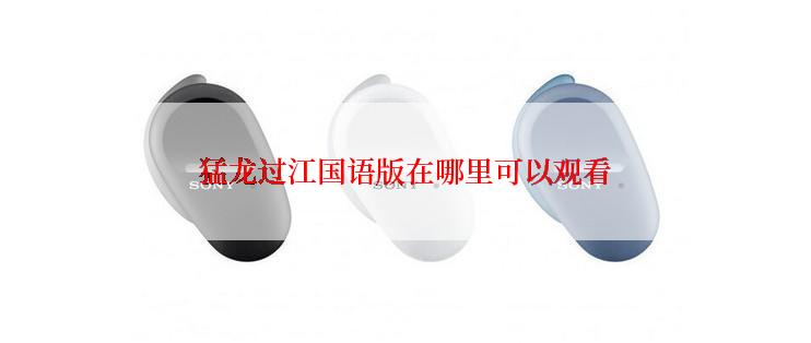 猛龙过江国语版在哪里可以观看