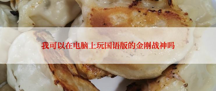 我可以在电脑上玩国语版的金刚战神吗