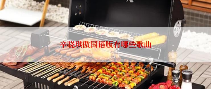 辛晓琪傲国语版有哪些歌曲