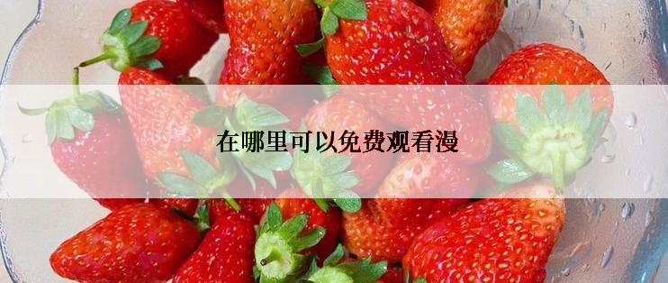  在哪里可以免费观看漫