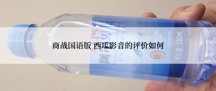 商战国语版 西瓜影音的评价如何