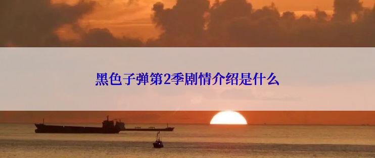 黑色子弹第2季剧情介绍是什么