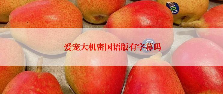  爱宠大机密国语版有字幕吗