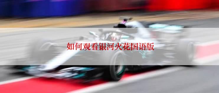  如何观看银河火花国语版