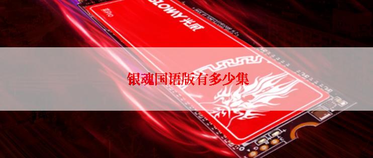  银魂国语版有多少集