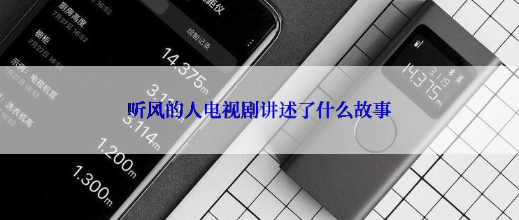 听风的人电视剧讲述了什么故事