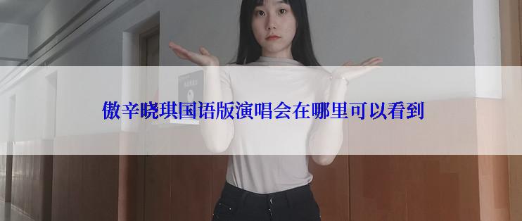  傲辛晓琪国语版演唱会在哪里可以看到