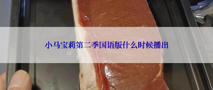 小马宝莉第二季国语版什么时候播出