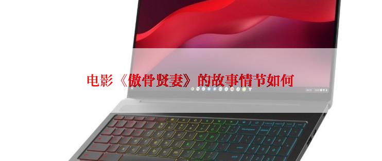 电影《傲骨贤妻》的故事情节如何