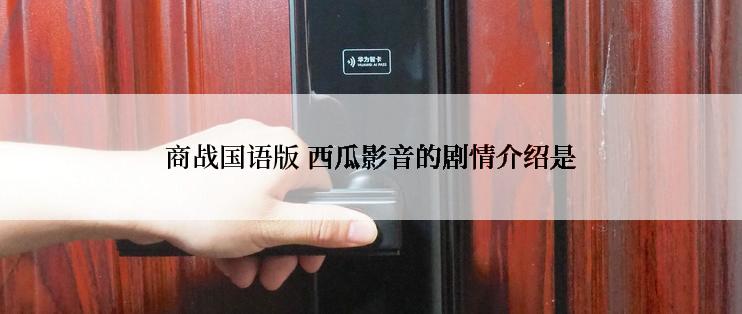 商战国语版 西瓜影音的剧情介绍是
