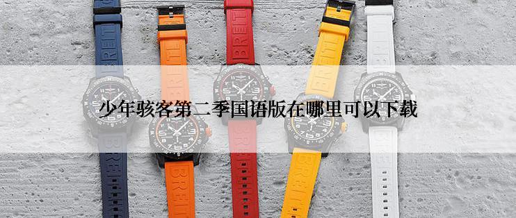 少年骇客第二季国语版在哪里可以下载