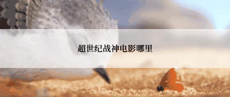 超世纪战神电影哪里